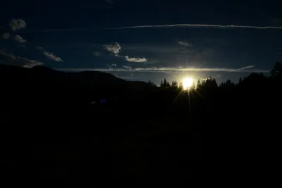 DSC_0080 (Large).JPG